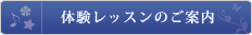体験レッスンのご案内